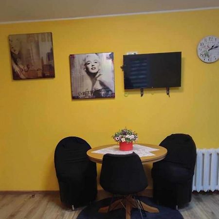 Du Draugai Apartment Druskininkai Dış mekan fotoğraf