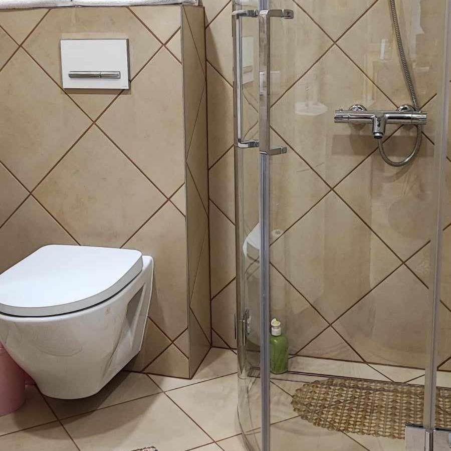 Du Draugai Apartment Druskininkai Dış mekan fotoğraf