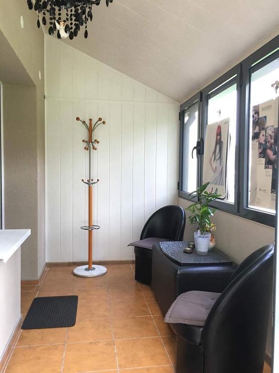 Du Draugai Apartment Druskininkai Dış mekan fotoğraf