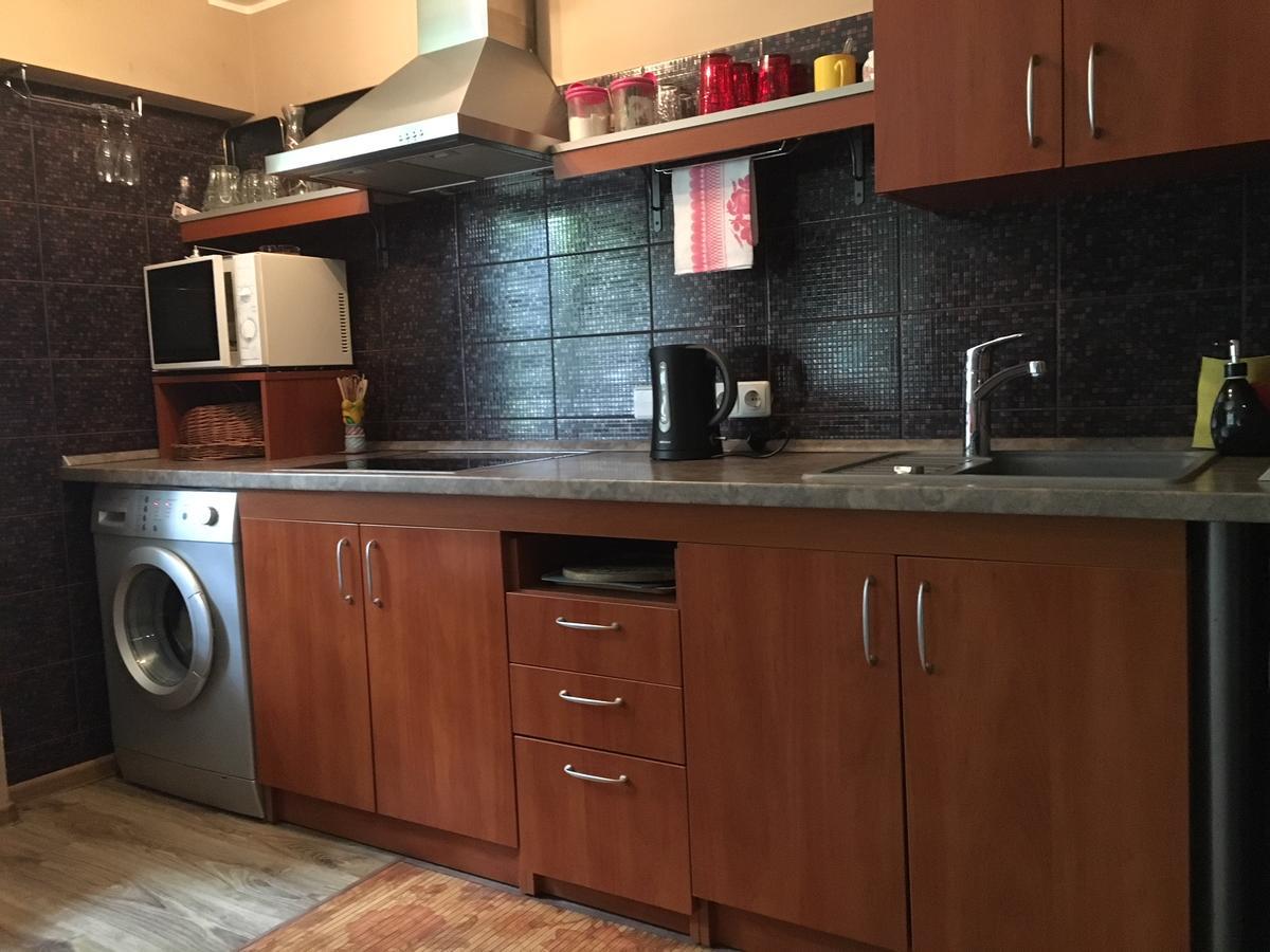 Du Draugai Apartment Druskininkai Dış mekan fotoğraf