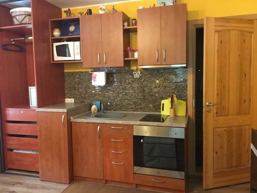 Du Draugai Apartment Druskininkai Dış mekan fotoğraf
